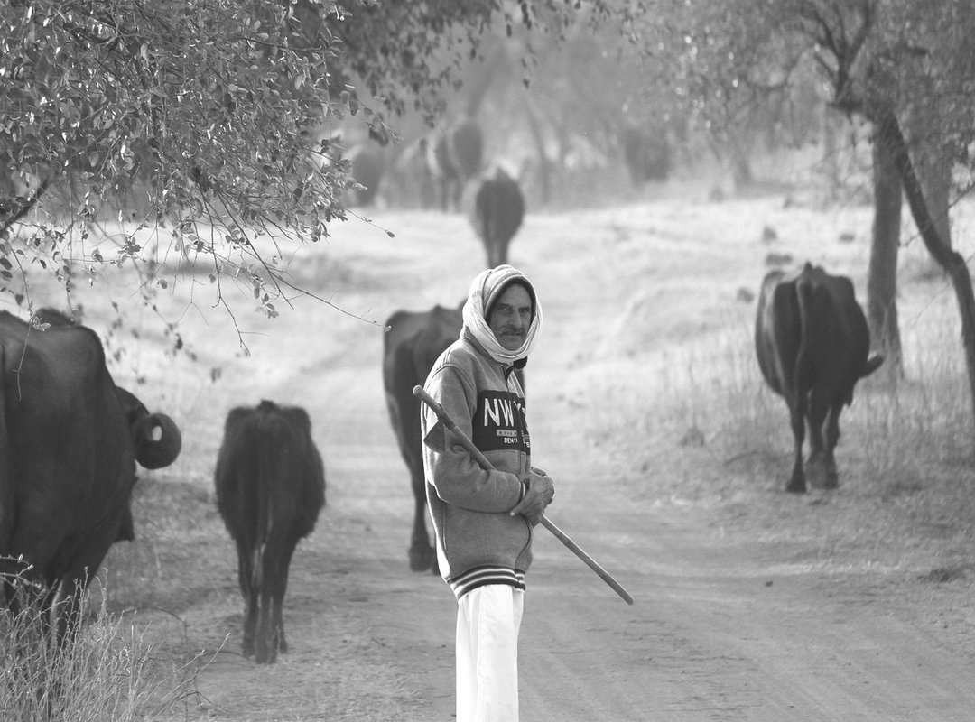 customizing ride tips