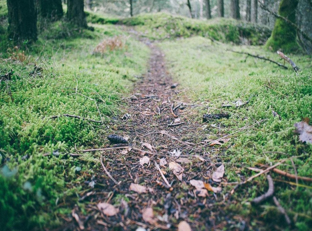 Legacy and Acclaim: The Lasting Impact of the Performances