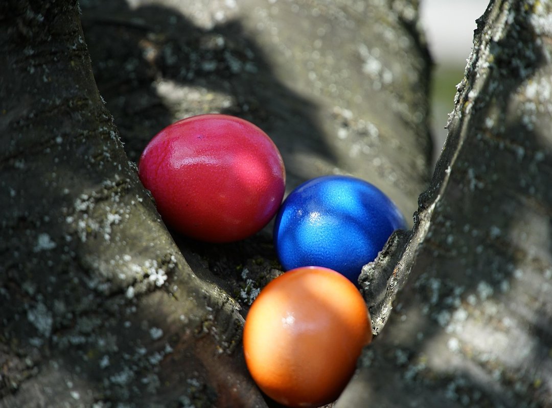 The Hidden Dangers of Searching for Leaked Material