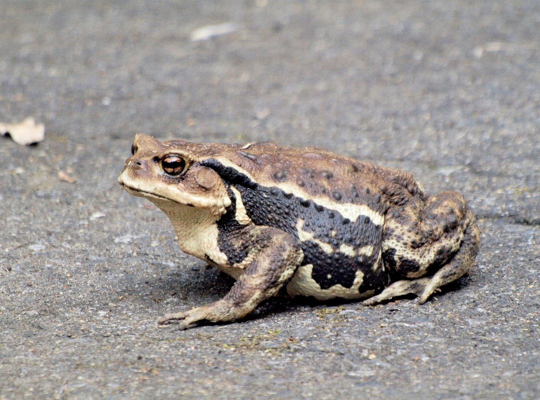 How It Compares to Popular Alternatives