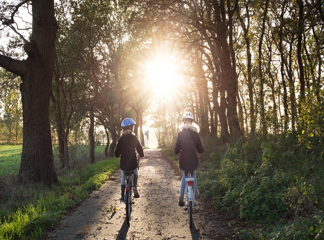riding accident prevention