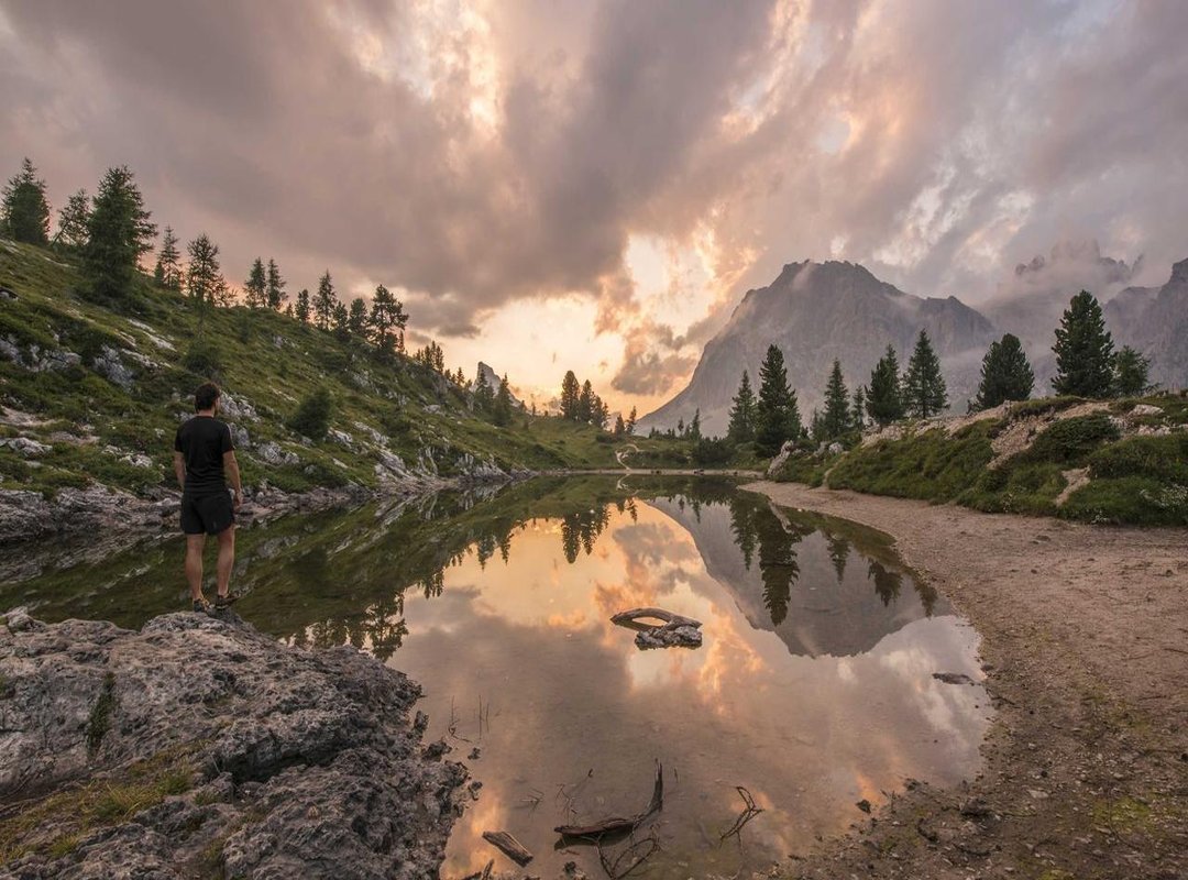 From Idea to Ink: How to Get the Tattoo You Really Want