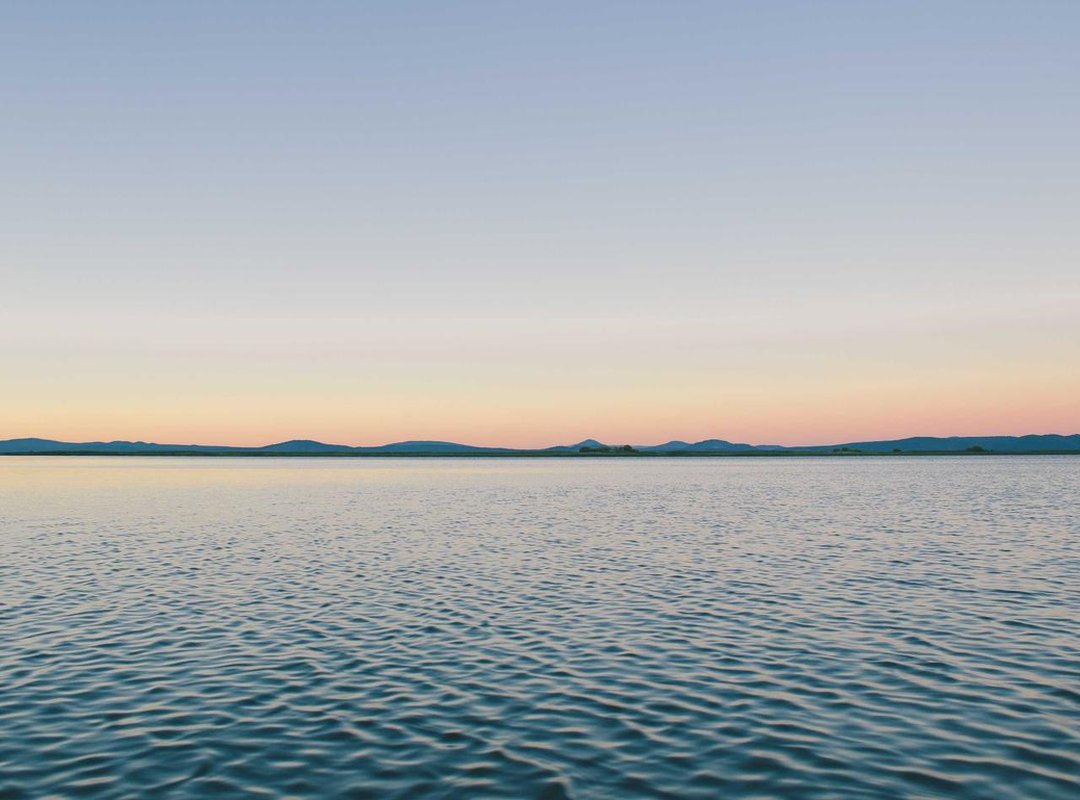 Spotlight on the Creators: Supporting Palestinian Female Artists