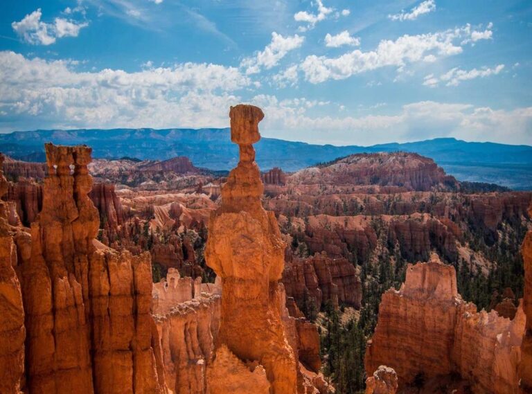 wallpaper:y1c5pjg5svg= duck